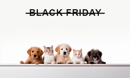 Estrategias Black Friday Pet Friendly
