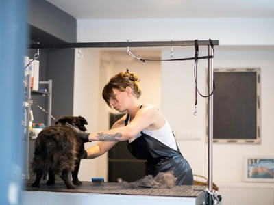 reservas para peluquería canina marta esteban lafulla